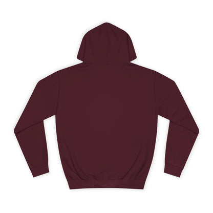 Hoodie — "I Can't Deal With Stupidity Today" Funny College Hoodie, Casual Humor Pullover