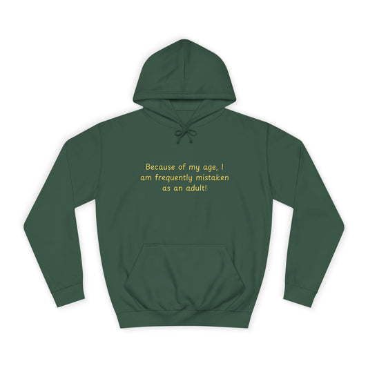College Hoodie - Classic Campus Pullover