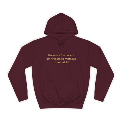 College Hoodie - Classic Campus Pullover